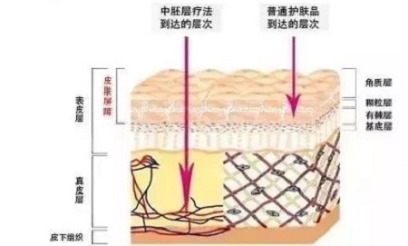 才是SK2+HR+Lamer組成的王炸！