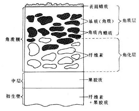 盤點(diǎn)四種需要來一針的膚質(zhì)