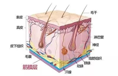 沒有誰能永遠(yuǎn)年輕，不老都是保養(yǎng)的早！