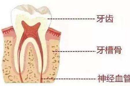 做牙齒矯正 ，真的要趁早！