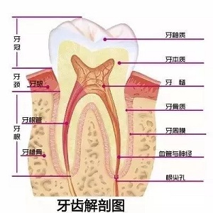 問(wèn)診室：為什么我的牙卻永遠(yuǎn)也刷不白？