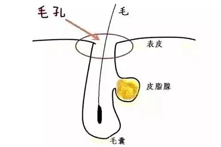 如何在炎熱的夏天，做清爽白凈的小姐姐？