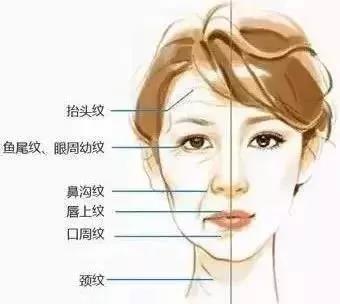 進(jìn)口和國產(chǎn)瘦臉有什么區(qū)別？2分鐘看懂