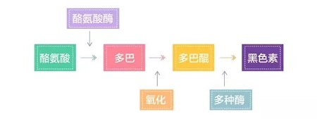 美萊實(shí)驗(yàn)室：據(jù)統(tǒng)計(jì)90%的長(zhǎng)斑都與夏天這一東西有關(guān)，你臉上的斑點(diǎn)是嗎？