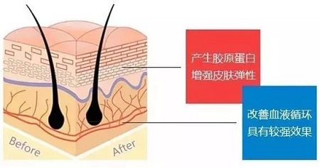 關(guān)于*雕，你想了解的都在這里！